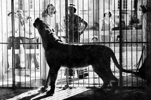 Une photo d'archive méconnue du Berry : La Grange aux Lions à Saint-Lactencin